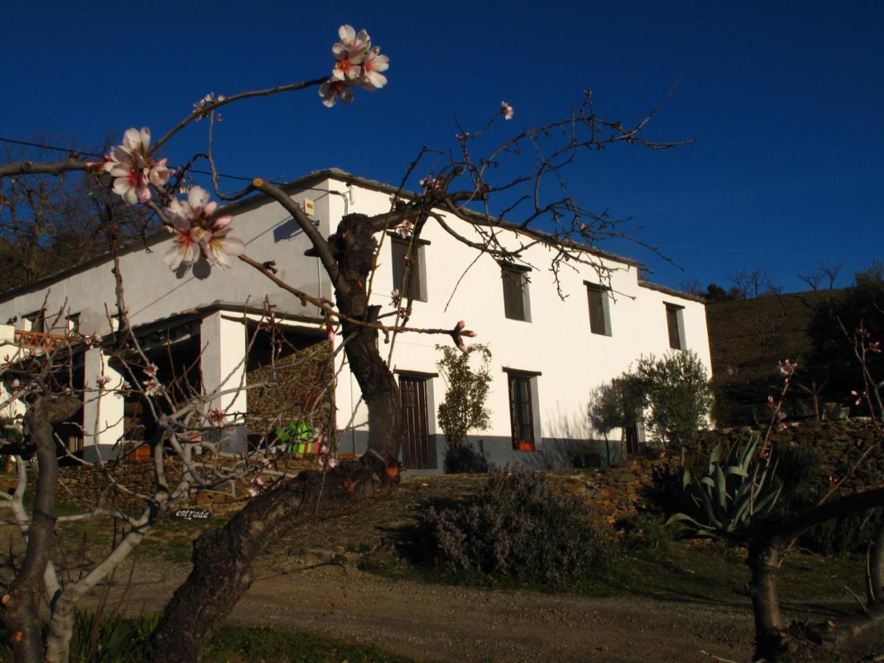 Casa Rural El Paraje De Bérchules Extérieur photo